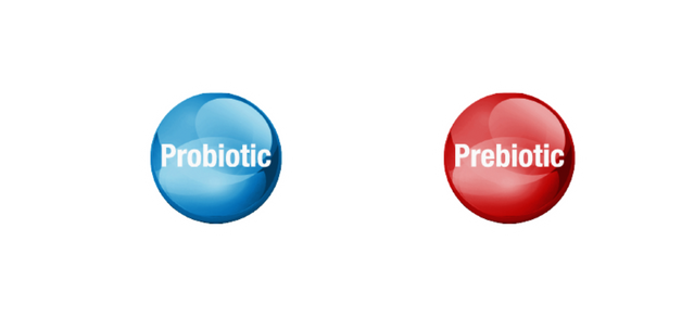 儿童肠道健康软糖 益生菌 + 益生元
